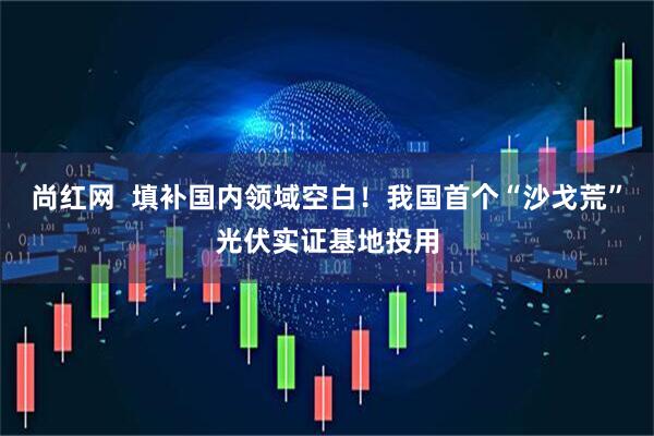 尚红网  填补国内领域空白！我国首个“沙戈荒”光伏实证基地投用