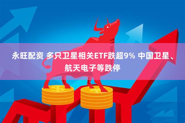 永旺配资 多只卫星相关ETF跌超9% 中国卫星、航天电子等跌停