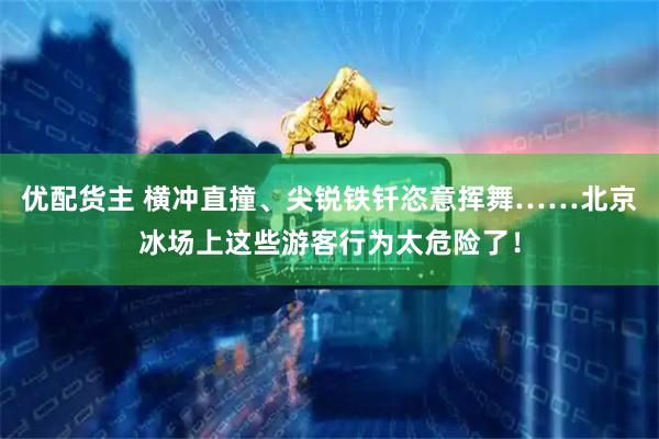 优配货主 横冲直撞、尖锐铁钎恣意挥舞……北京冰场上这些游客行为太危险了！